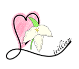 自分と向き合う、静かなひととき｜会津若松の癒しと脱毛サロン trillium（トリリウム）
